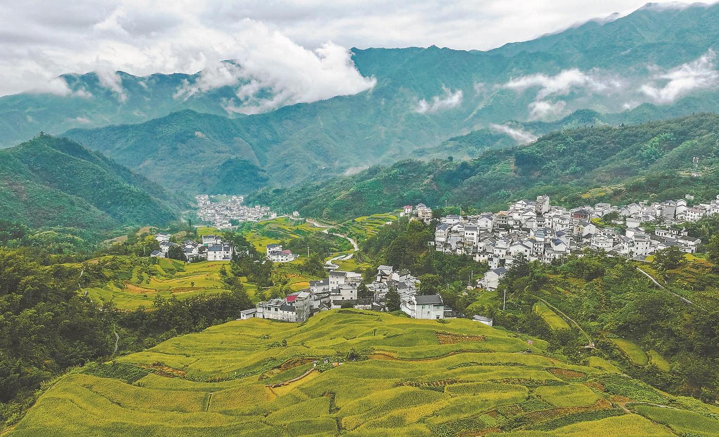 安徽的温馨时光，友情、家庭与美好日常